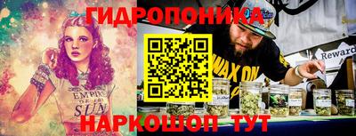 твердый Новозыбков
