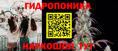 твердый Новозыбков